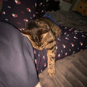 Meet your Posher, Amanda